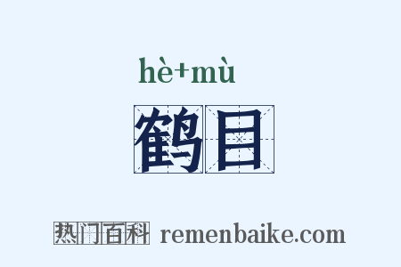 鹤目是什么意思的图片